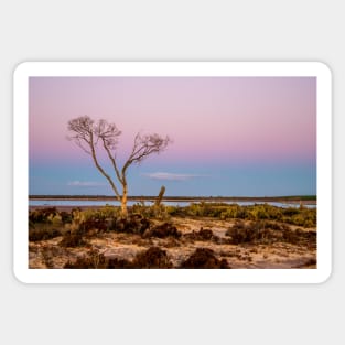 Lake Tyrrell, Sea Lake, Mallee Region, Victoria, Australia Sticker